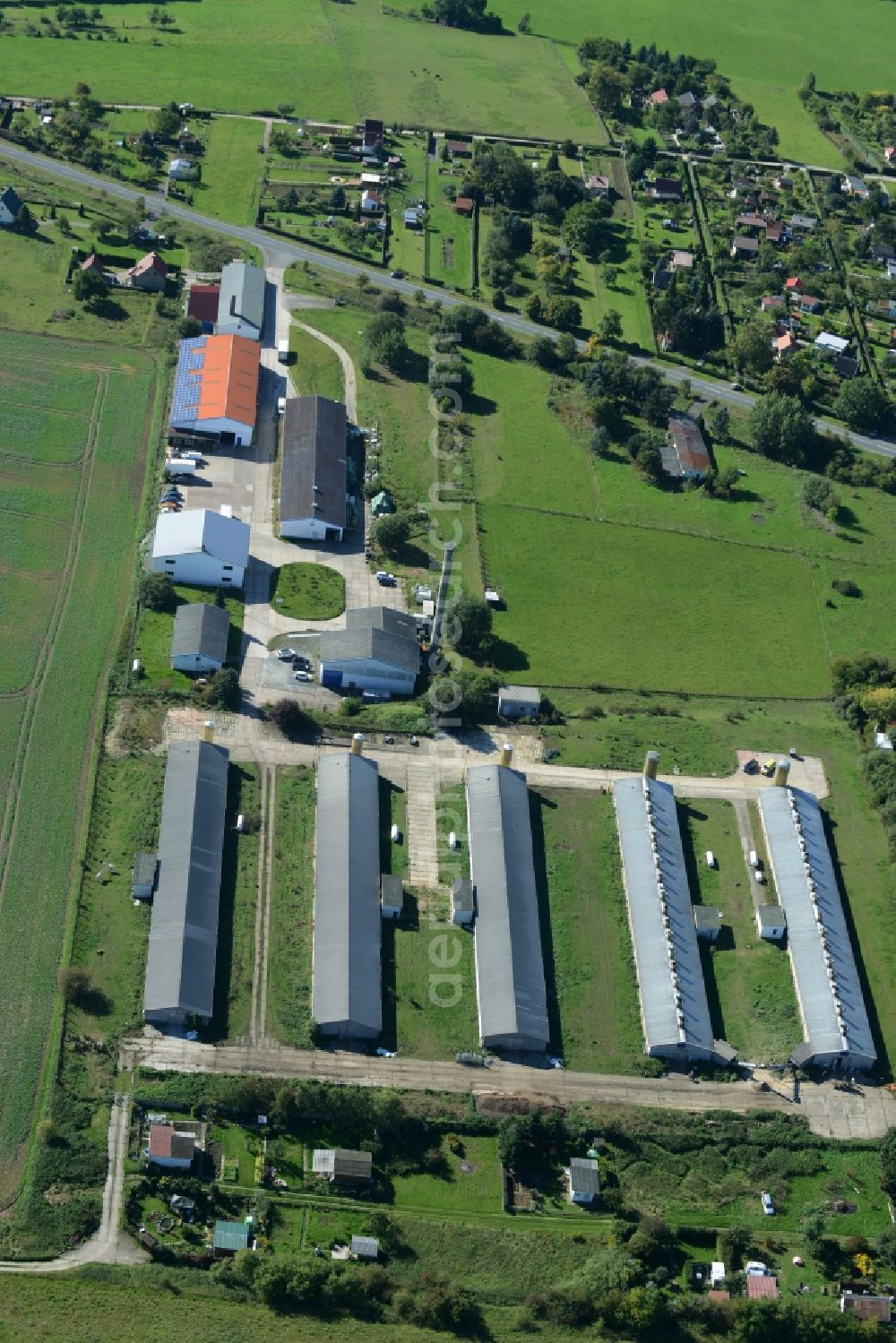 Dingelstädt from above - Dairy plant and animal breeding stables with cows in Dingelstaedt in the state Thuringia