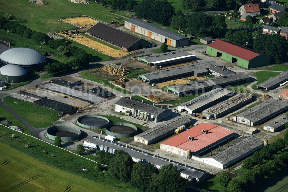 Aerial photograph Grebs-Niendorf - Dairy plant and animal breeding stables with cows in Grebs-Niendorf in the state Mecklenburg - Western Pomerania