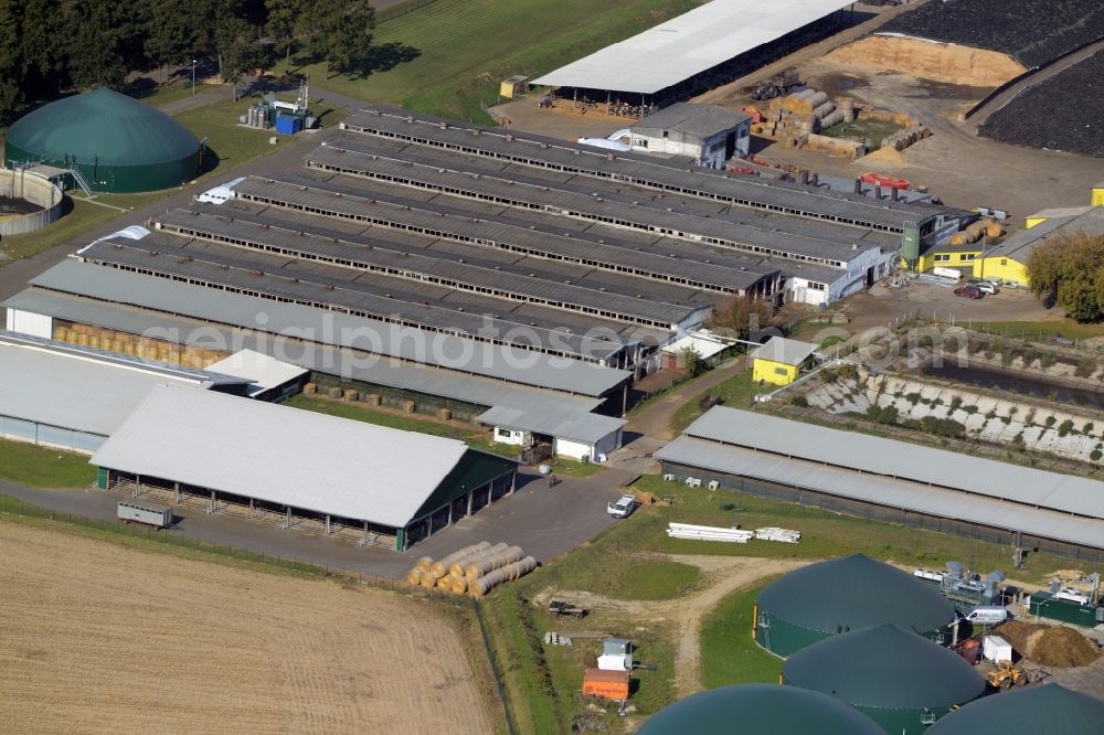 Kremmen from the bird's eye view: Stables of an agricultural business with biogas plant in Kremmen in the state Brandenburg