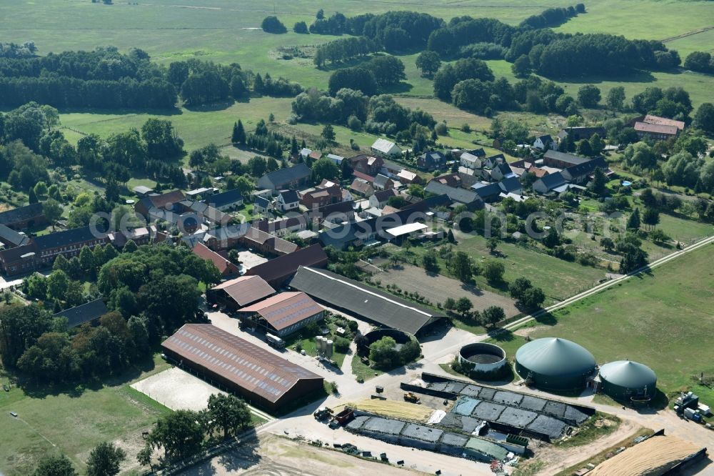 Aerial photograph Käthen - Dairy plant and animal breeding stables with cows in Kaethen in the state Saxony-Anhalt