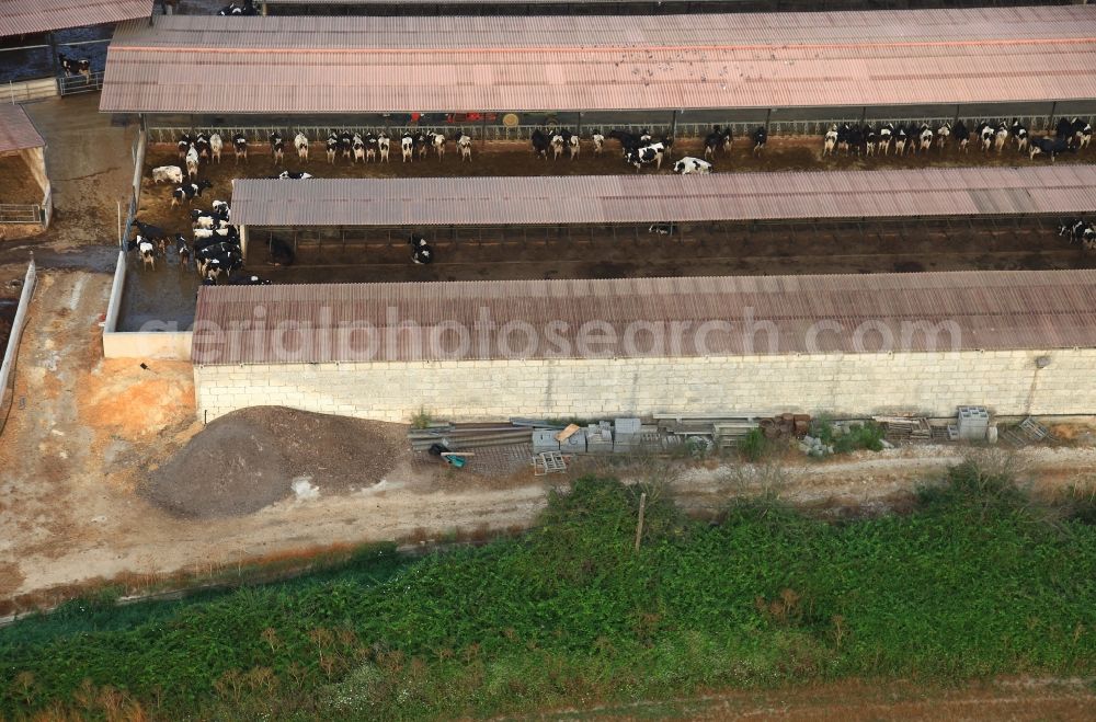 Manacor from above - Dairy plant and animal breeding stables with cows in Manacor in Mallorca in Balearic Islands, Spain