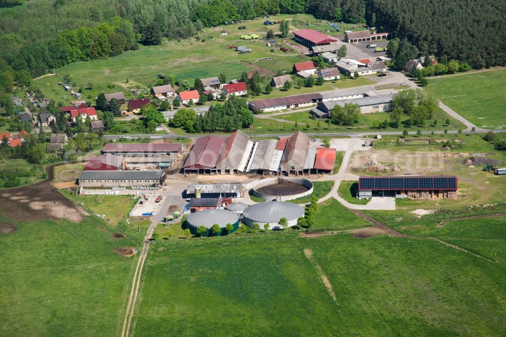 Aerial image Rabenstein/Fläming - Dairy plant and animal breeding stables with cows Raedigke in Rabenstein/Flaeming in the state Brandenburg, Germany