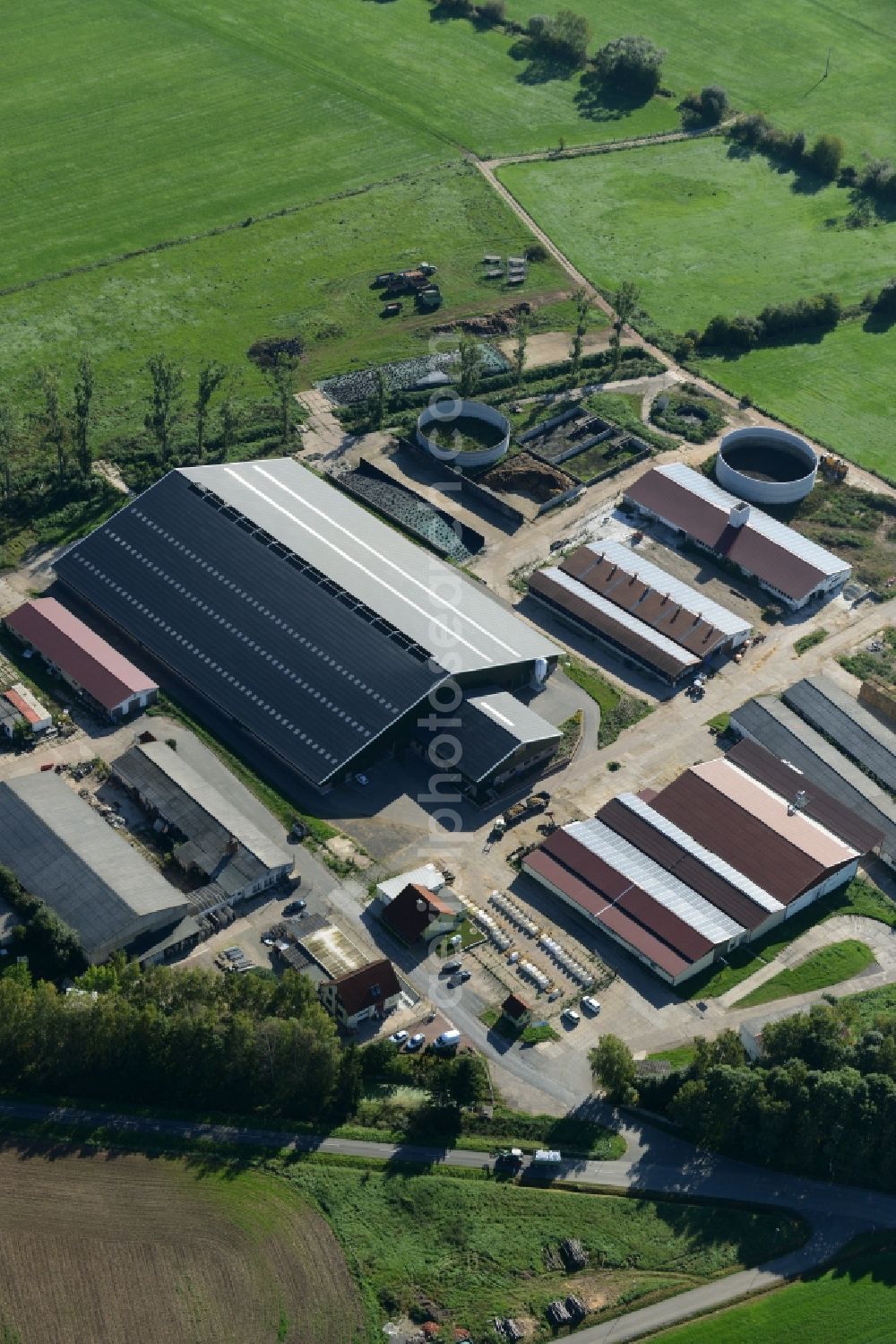 Aerial image Riestedt - Dairy plant and animal breeding stables with cows of the der Milchgut Riestedt GmbH in Riestedt in the state Saxony-Anhalt