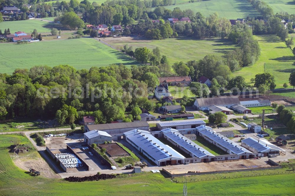 Aerial image Rietzneuendorf - Dairy plant and animal breeding stables with cows in Rietzneuendorf in the state Brandenburg, Germany