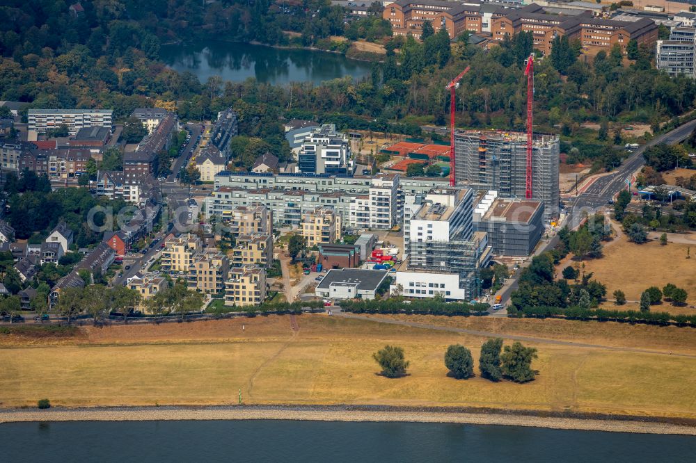 Düsseldorf from above - Mixing of residential and commercial settlements in the district Heerdt between the roads Kribbenstrasse, Rheinallee, Am Heerdter Krankenhaus und Pariser Strasse in Duesseldorf in the state North Rhine-Westphalia, Germany