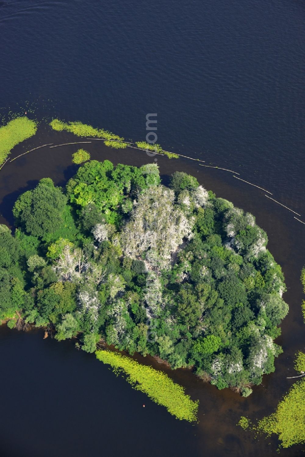 Berlin Kladow from the bird's eye view: Nature reserve in the island Imchen Kladow on the shores of the Wannsee in Berlin