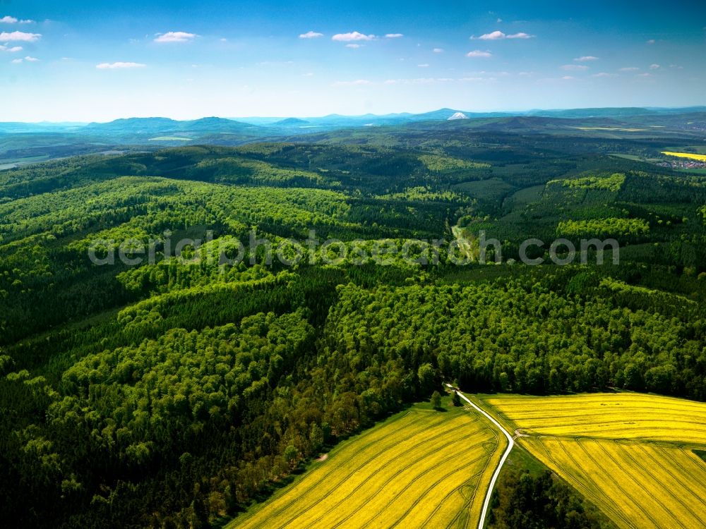 Bermbach from above - Forest and mountain landscape of the mid-mountain range Thueringische Rhoen in Bermbach in the state Thuringia, Germany