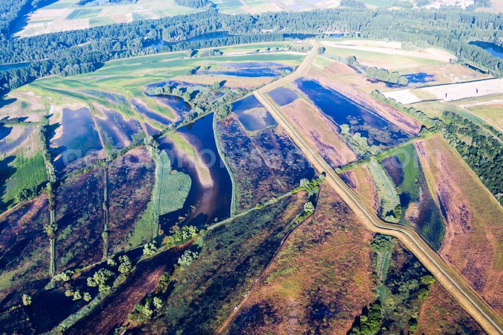 Aerial image Römerberg - Sealing work on the site of the landfill of BASF on the island Flotzgruen at the Rhine in Roemerberg in the state Rhineland-Palatinate, Germany