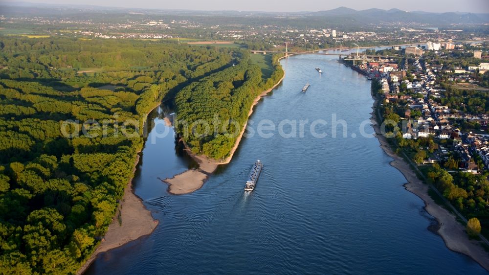 Niederkassel from above - The river Sieg flows into the Rhine near Bonnin Niederkassel in the state North Rhine-Westphalia, Germany