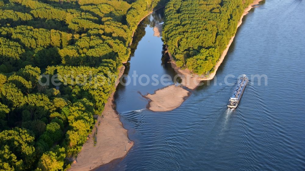 Niederkassel from the bird's eye view: The river Sieg flows into the Rhine near Bonnin Niederkassel in the state North Rhine-Westphalia, Germany