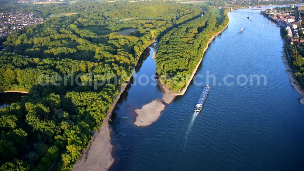 Aerial image Niederkassel - The river Sieg flows into the Rhine near Bonnin Niederkassel in the state North Rhine-Westphalia, Germany