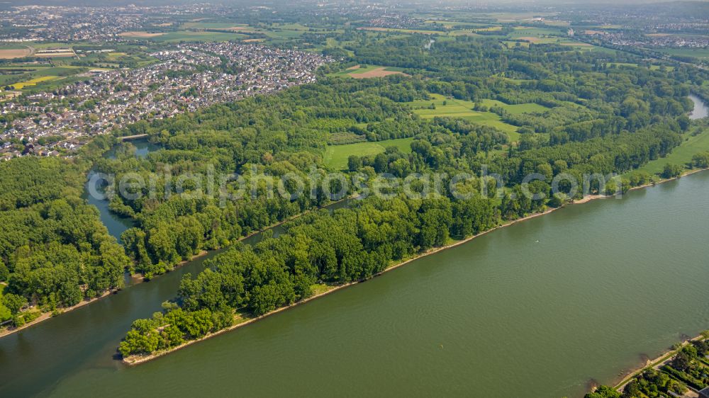 Aerial photograph Niederkassel - Mouth of the Sieg into the Rhine at low water in Niederkassel in the state North Rhine-Westphalia, Germany