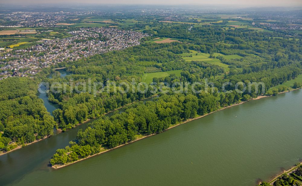 Niederkassel from above - Mouth of the Sieg into the Rhine at low water in Niederkassel in the state North Rhine-Westphalia, Germany