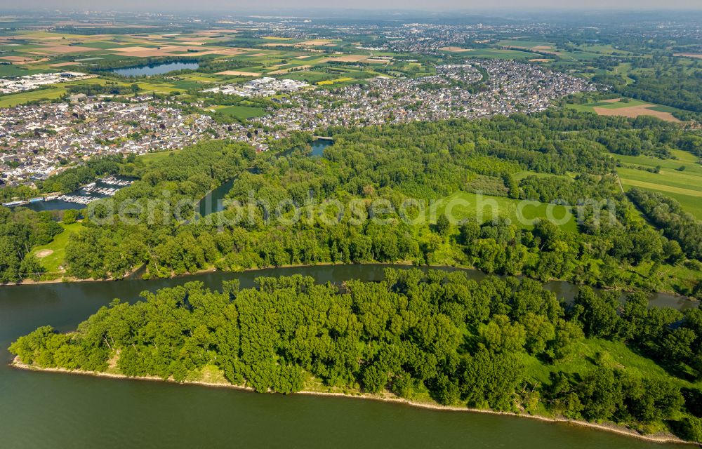 Aerial image Niederkassel - Mouth of the Sieg into the Rhine at low water in Niederkassel in the state North Rhine-Westphalia, Germany