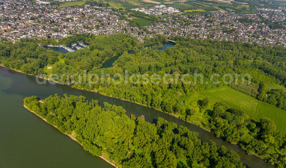 Aerial photograph Niederkassel - Mouth of the Sieg into the Rhine at low water in Niederkassel in the state North Rhine-Westphalia, Germany