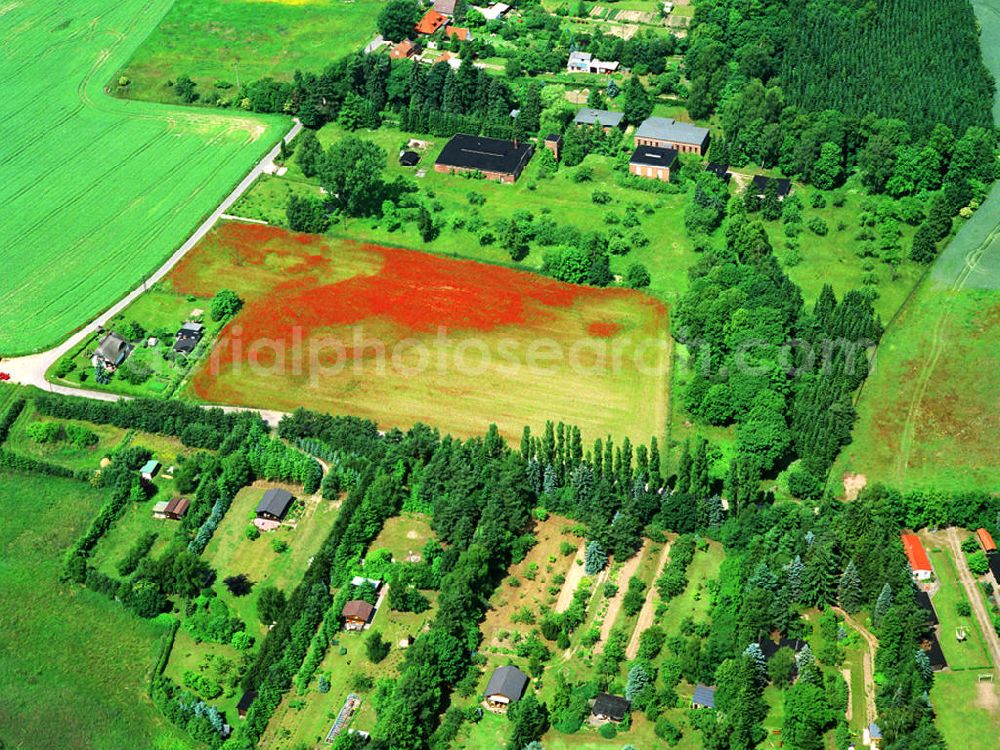 Papendorf from the bird's eye view: Papendorf 17/06/1999 poppy field landscape at Pape village in Mecklenburg-Western Pomerania