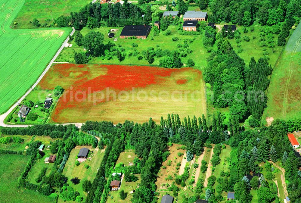 Aerial photograph Papendorf - Papendorf 17/06/1999 poppy field landscape at Pape village in Mecklenburg-Western Pomerania