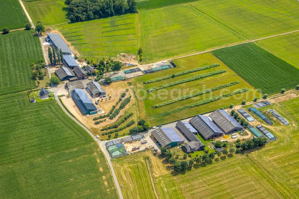 Aerial photograph Hamminkeln - Elevated tanks and technical systems on the buildings on the dairy factory premises Landwirtschaftliche Hofmolkerei Heesen on street Moenchsweg in the district Loikum in Hamminkeln in the state North Rhine-Westphalia, Germany