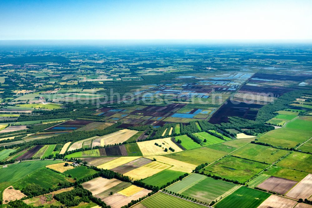 Aerial photograph Diepholz - Moor and swamp landscape with siltation in Diepholz in the state Lower Saxony, Germany