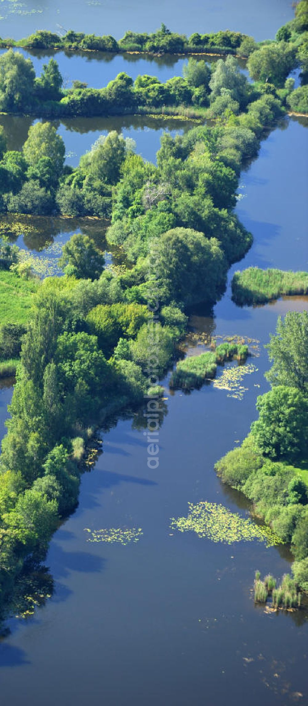 Tremmen from the bird's eye view: Moorlandschaft im Havelland, Brandenburg, bei Ketzin. Diese entstand wahrscheinlich durch Torfstechungen. In der Nähe von diesem Moor wird auch Fischzucht betrieben. Moor landscape in Brandenburg in the district of Havelland close to Ketzin OT Tremmen. It possibly occoured in context of peat digging. Near the moor there are also fish farms.