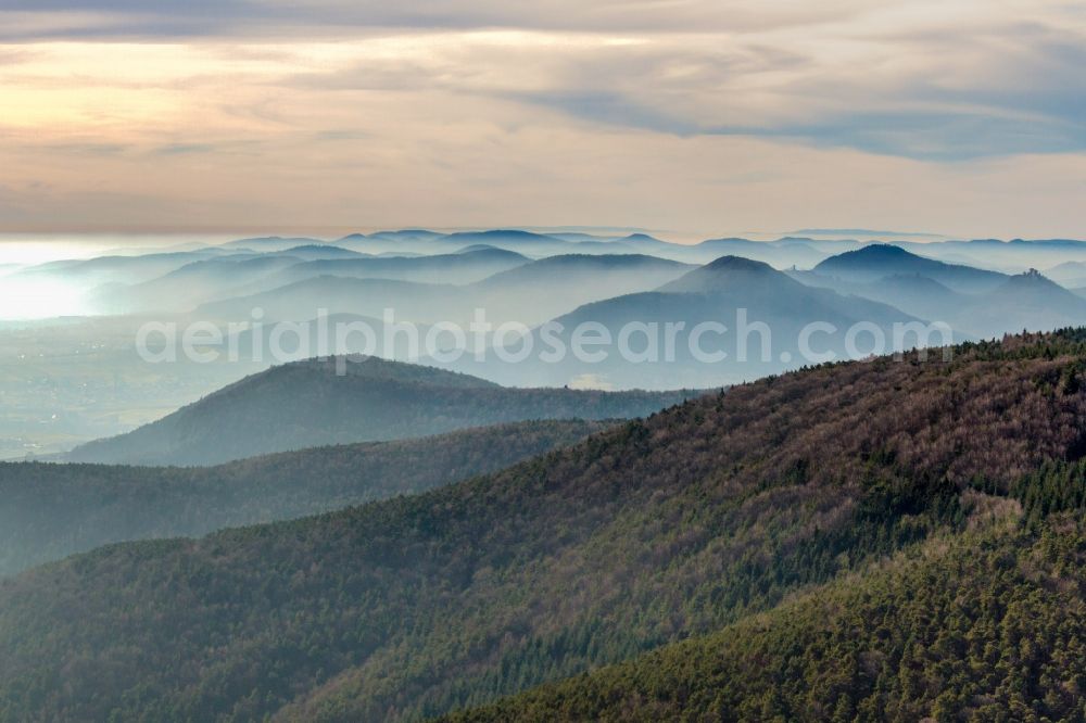 Burrweiler from above - Mountain landscape nature reserve Pfaelzerwald in morning light in Burrweiler in the state Rhineland-Palatinate