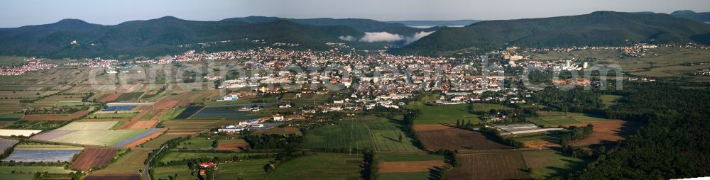 Neustadt an der Weinstraße from above - Morning Panorama from the local area and environment in Neustadt an der Weinstrasse in the state Rhineland-Palatinate