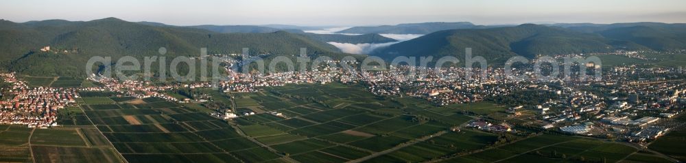 Aerial image Neustadt an der Weinstraße - Morning Panorama from the local area and environment in Neustadt an der Weinstrasse in the state Rhineland-Palatinate