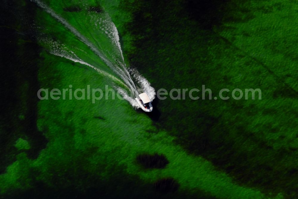 Radolfzell am Bodensee from above - Motorboat in motion vor of Halbinsel Mettnau in Radolfzell am Bodensee in the state Baden-Wuerttemberg, Germany