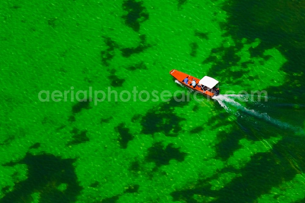 Aerial photograph Radolfzell am Bodensee - Motorboat - speedboat in motion in Radolfzell am Bodensee in the state Baden-Wuerttemberg, Germany