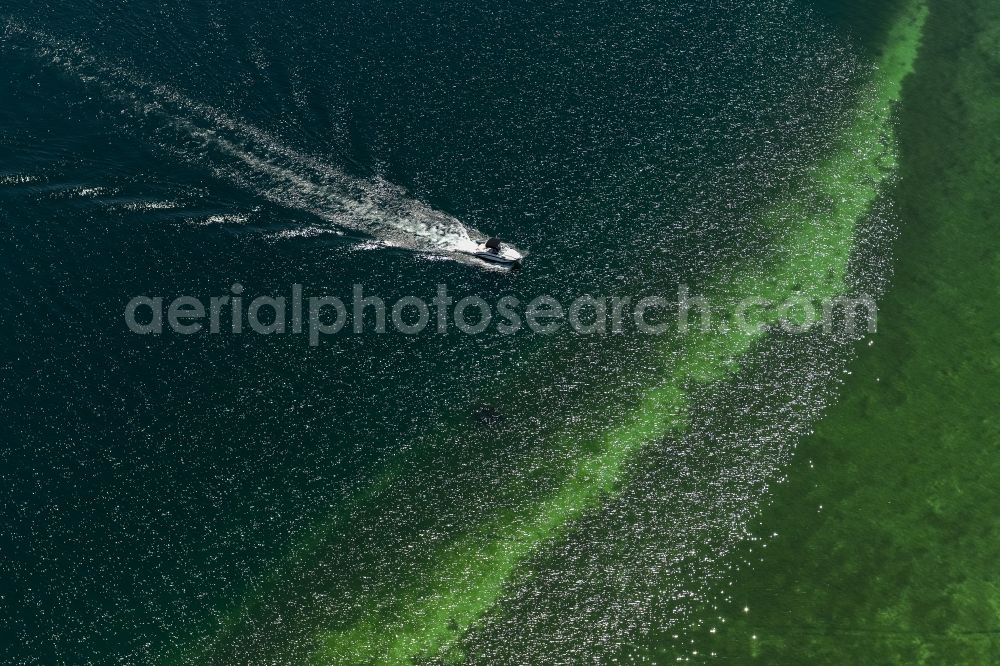 Aerial photograph Radolfzell am Bodensee - Motorboat - speedboat in motion in in Radolfzell am Bodensee in the state Baden-Wuerttemberg, Germany