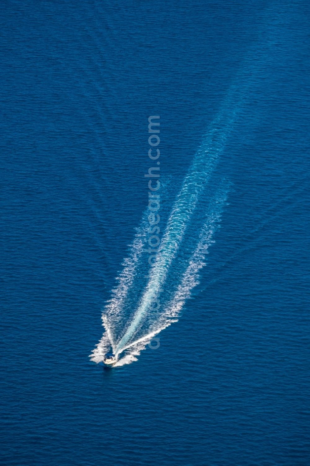 Alcudia from above - Motorboat - speedboat in motion in the bay of Alcudia in Alcudia in Balearic island of Mallorca, Spain