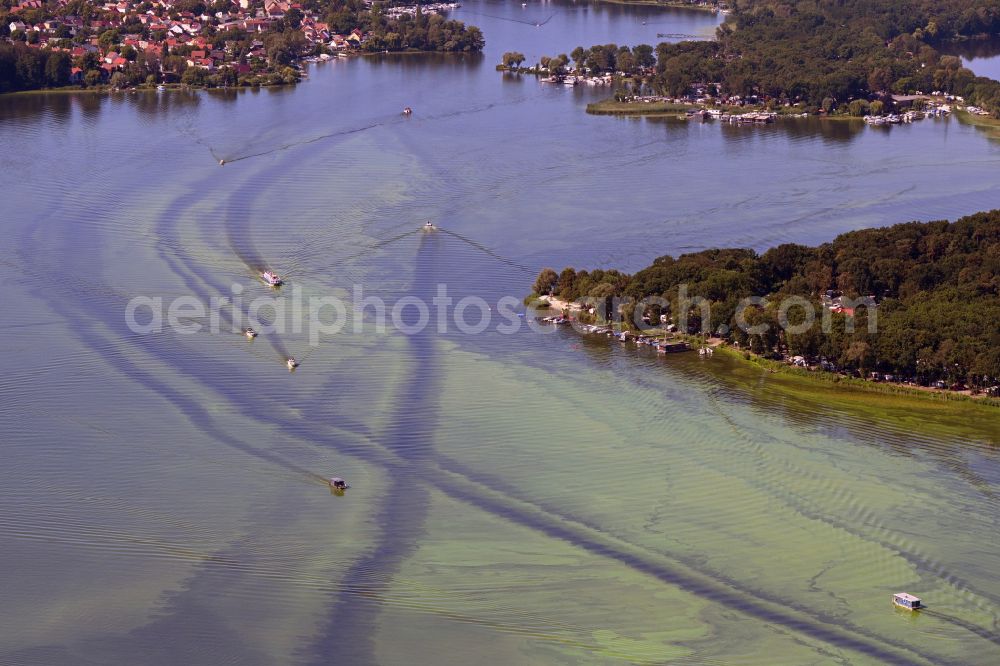 Schwielowsee from above - Motorboat - speedboat in motion on Templiner See in the district Caputh in Schwielowsee in the state Brandenburg, Germany