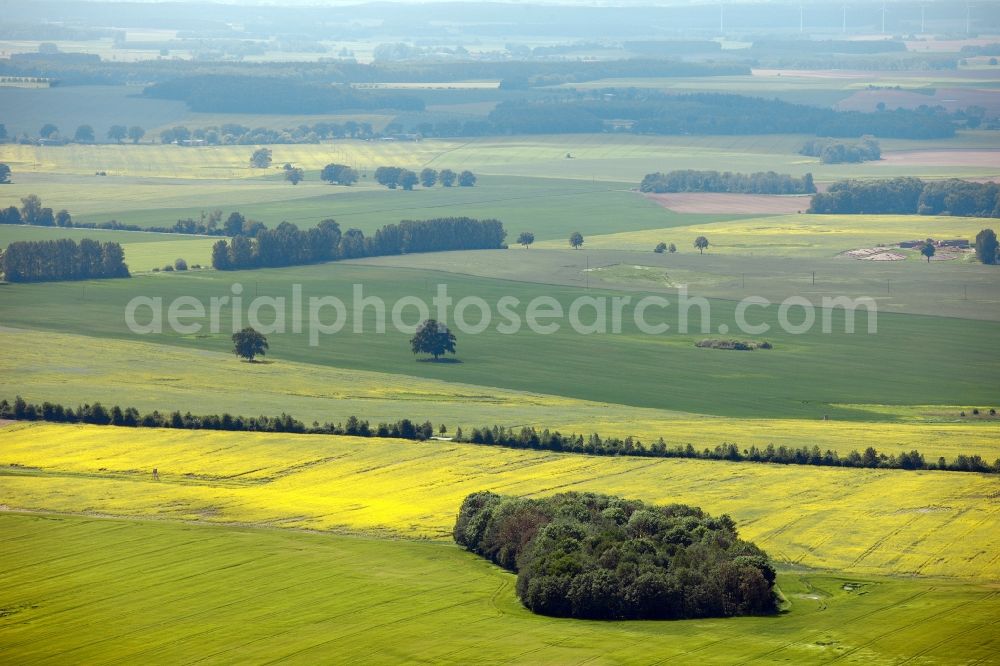 Röbel from above - View of tree and field structures in Roebel in the state of Mecklenburg-West Pomerania