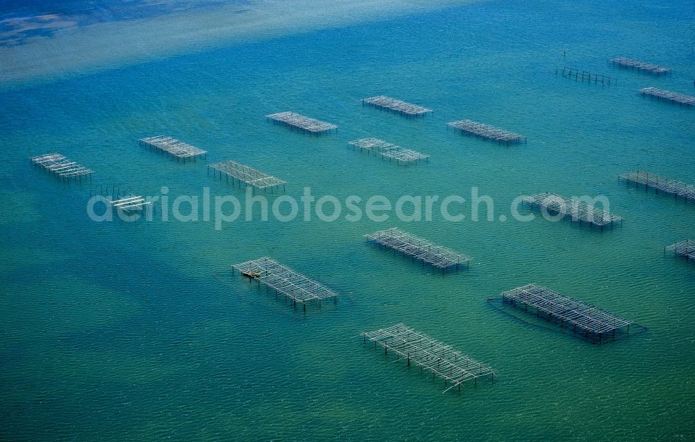 Aerial image Leucate - Mussel breeding traps on the coast in Leucate in France