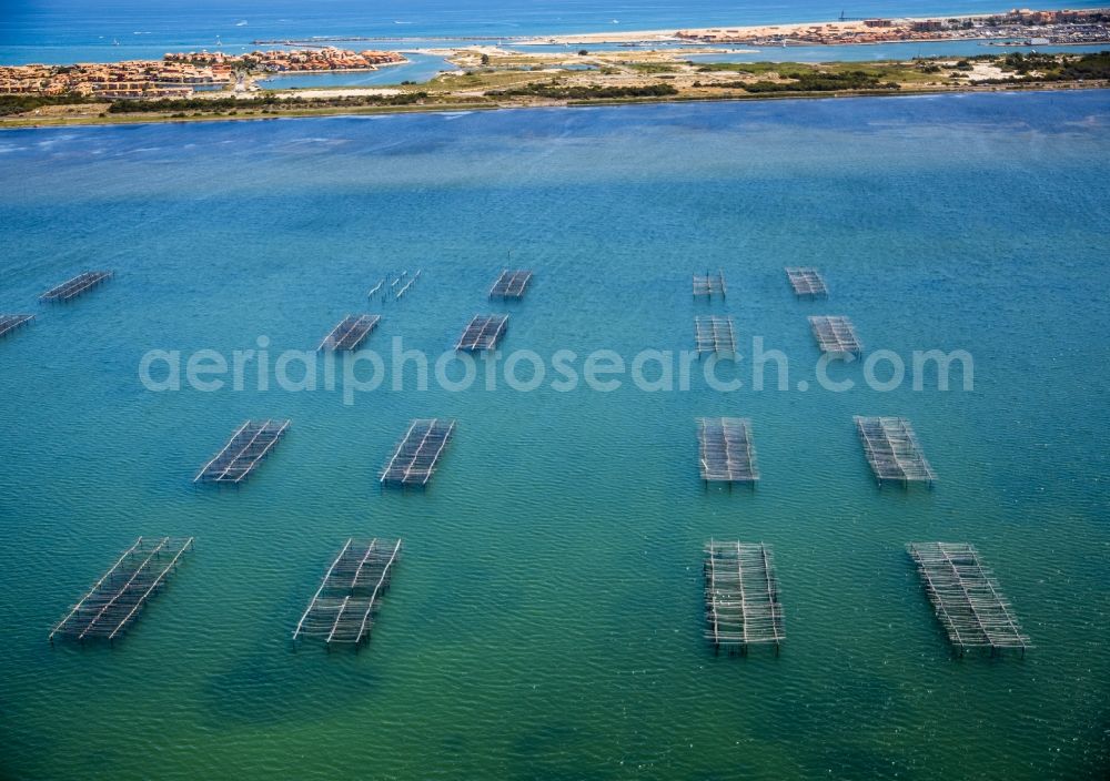 Aerial photograph Leucate - Mussel breeding traps on the coast in Leucate in France