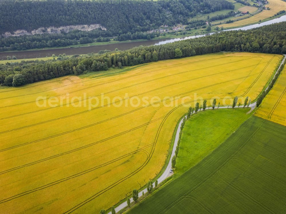 Aerial image Königstein - Napoleonallee at Lilienstein in Koenigstein Saxon Switzerland in the state of Saxony, Germany