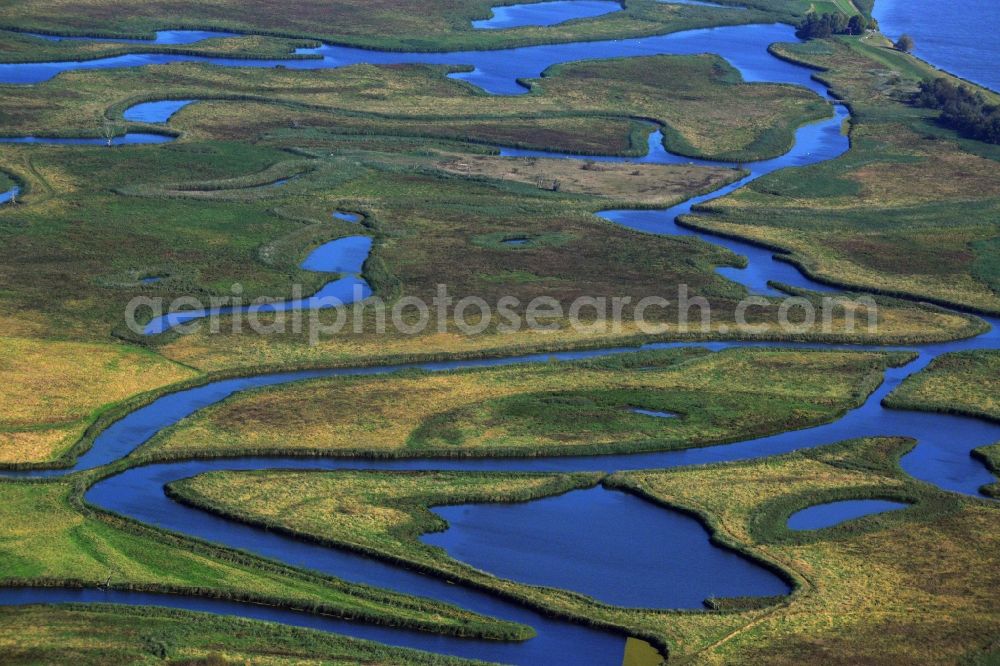 Schwedt/Oder from the bird's eye view: Lower Oder Valley National Park is a National Park was established in 1995 in Germany. It is located on the lower reaches of the Oder in the north-east of Brandenburg, district Uckermark. The National Park is surrounded on the German side of the large conservation area the Lower Oder Valley National Park region. The national park is adjacent to the Polish countryside and the Lower Oder Valley National Park Zehdener Landscape Park and its protection zone is a geographical unit. The large river-floodplain landscape is a habitat for many rare or endangered plants and animals, including beaver