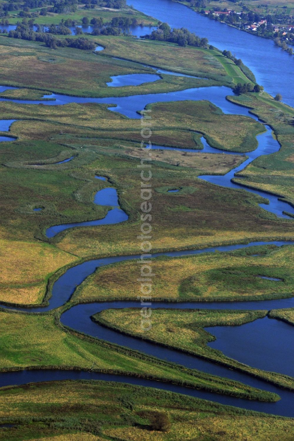 Schwedt/Oder from above - Lower Oder Valley National Park is a National Park was established in 1995 in Germany. It is located on the lower reaches of the Oder in the north-east of Brandenburg, district Uckermark. The National Park is surrounded on the German side of the large conservation area the Lower Oder Valley National Park region. The national park is adjacent to the Polish countryside and the Lower Oder Valley National Park Zehdener Landscape Park and its protection zone is a geographical unit. The large river-floodplain landscape is a habitat for many rare or endangered plants and animals, including beaver