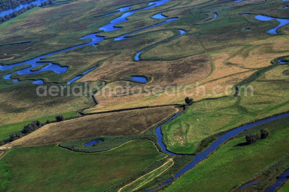 Aerial photograph Schwedt/Oder - Lower Oder Valley National Park is a National Park was established in 1995 in Germany. It is located on the lower reaches of the Oder in the north-east of Brandenburg, district Uckermark. The National Park is surrounded on the German side of the large conservation area the Lower Oder Valley National Park region. The national park is adjacent to the Polish countryside and the Lower Oder Valley National Park Zehdener Landscape Park and its protection zone is a geographical unit. The large river-floodplain landscape is a habitat for many rare or endangered plants and animals, including beaver