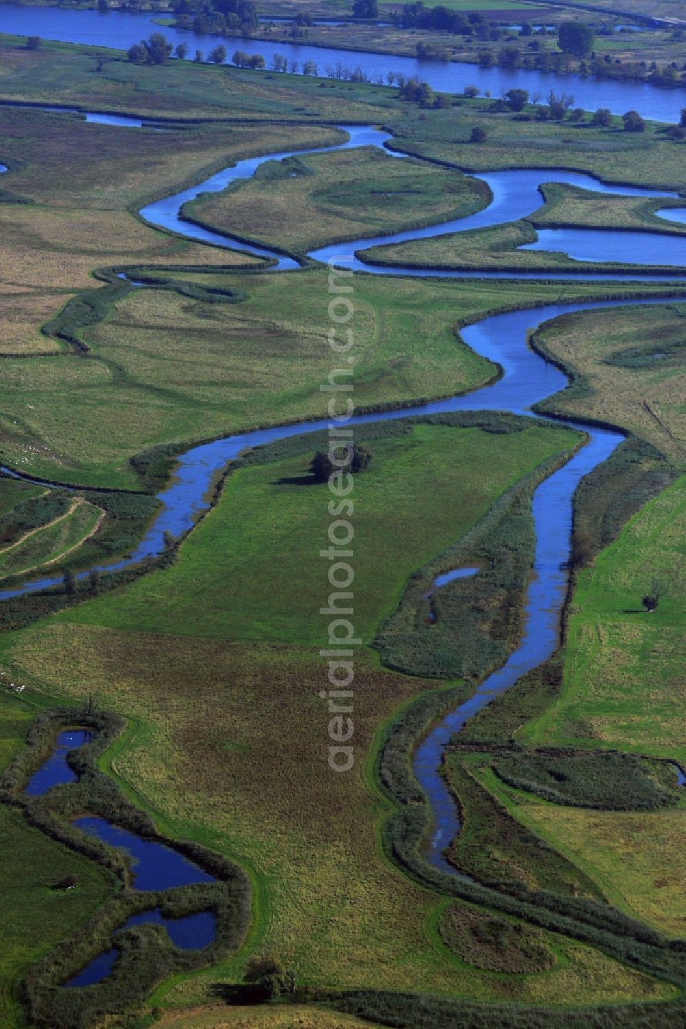 Aerial image Schwedt/Oder - Lower Oder Valley National Park is a National Park was established in 1995 in Germany. It is located on the lower reaches of the Oder in the north-east of Brandenburg, district Uckermark. The National Park is surrounded on the German side of the large conservation area the Lower Oder Valley National Park region. The national park is adjacent to the Polish countryside and the Lower Oder Valley National Park Zehdener Landscape Park and its protection zone is a geographical unit. The large river-floodplain landscape is a habitat for many rare or endangered plants and animals, including beaver