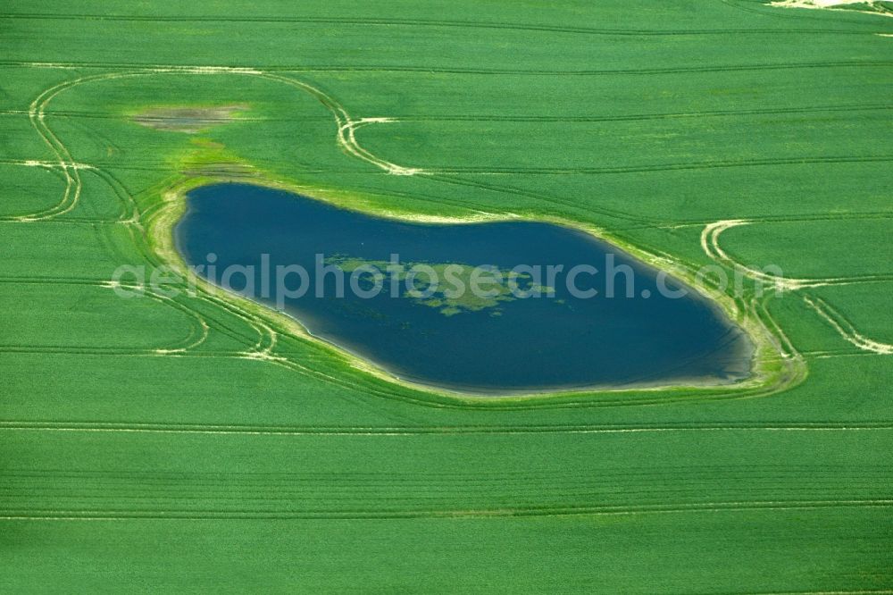 Aerial image Schwedt/Oder - Lower Oder Valley National Park is a National Park was established in 1995 in Germany. It is located on the lower reaches of the Oder in the north-east of Brandenburg, district Uckermark. The National Park is surrounded on the German side of the large conservation area the Lower Oder Valley National Park region. The national park is adjacent to the Polish countryside and the Lower Oder Valley National Park Zehdener Landscape Park and its protection zone is a geographical unit. The large river-floodplain landscape is a habitat for many rare or endangered plants and animals, including beaver