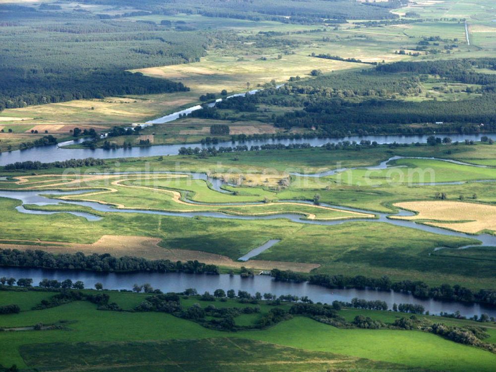 Schwedt / Brandenburg from the bird's eye view: Blick auf Nationalpark unteres Odertal nördlich von Schwedt, Blick in Richtung Polen