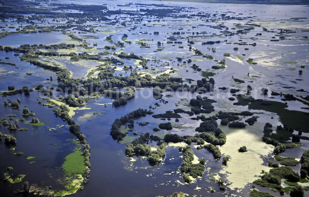 Aerial photograph Kostrzyn / Küstrin - Blick auf das Überschwemmungsgebiet des Nationalparks Warthemündung. Der 2001 gegründete Nationalpark liegt an der Mündung der Warthe in die Oder und umfasst eine Fläche von 8.038 Hektar. Es dominieren Wiesen- und Weideland. View of the floodplain of the National Park Warta Mouth. Founded in 2001, this National Park is located at the mouth of the Warta River into the Oder River and covers an area of 8.038 hectares. It is dominated by meadows and pastures.