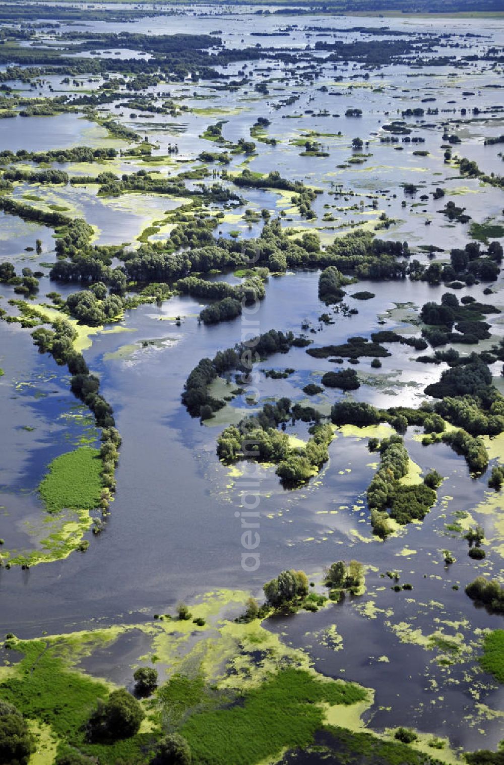 Kostrzyn / Küstrin from the bird's eye view: Blick auf das Überschwemmungsgebiet des Nationalparks Warthemündung. Der 2001 gegründete Nationalpark liegt an der Mündung der Warthe in die Oder und umfasst eine Fläche von 8.038 Hektar. Es dominieren Wiesen- und Weideland. View of the floodplain of the National Park Warta Mouth. Founded in 2001, this National Park is located at the mouth of the Warta River into the Oder River and covers an area of 8.038 hectares. It is dominated by meadows and pastures.