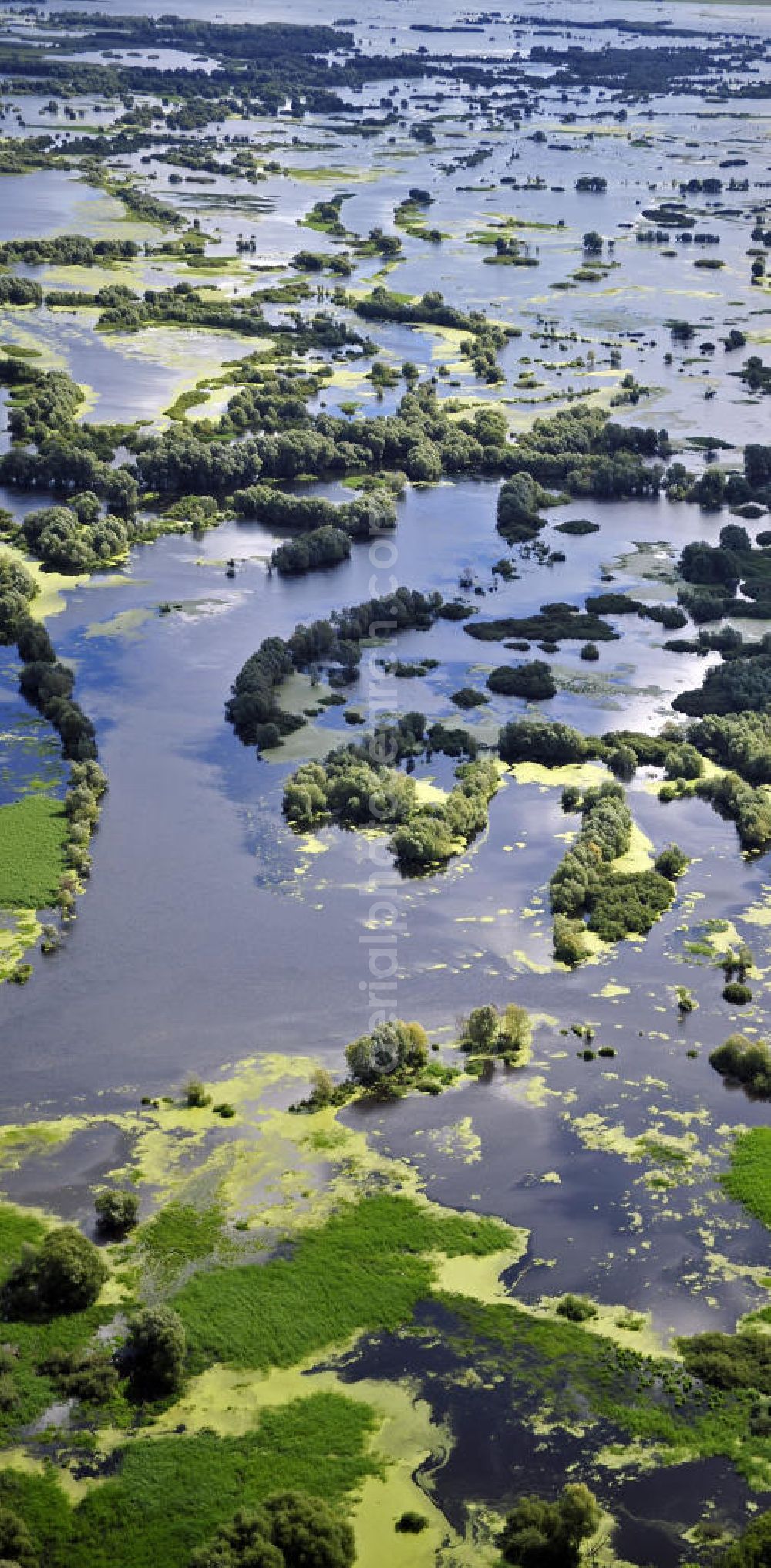 Aerial image Kostrzyn / Küstrin - Blick auf das Überschwemmungsgebiet des Nationalparks Warthemündung. Der 2001 gegründete Nationalpark liegt an der Mündung der Warthe in die Oder und umfasst eine Fläche von 8.038 Hektar. Es dominieren Wiesen- und Weideland. View of the floodplain of the National Park Warta Mouth. Founded in 2001, this National Park is located at the mouth of the Warta River into the Oder River and covers an area of 8.038 hectares. It is dominated by meadows and pastures.