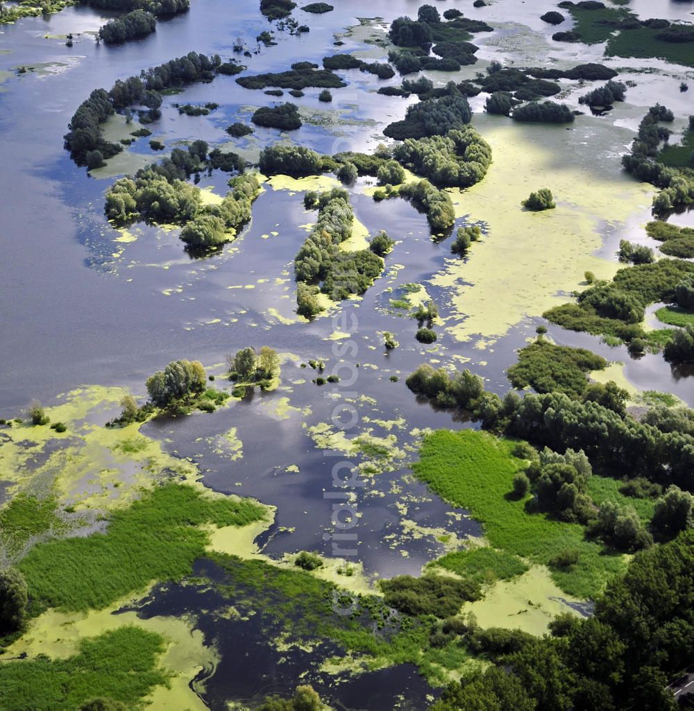 Aerial photograph Kostrzyn / Küstrin - Blick auf das Überschwemmungsgebiet des Nationalparks Warthemündung. Der 2001 gegründete Nationalpark liegt an der Mündung der Warthe in die Oder und umfasst eine Fläche von 8.038 Hektar. Es dominieren Wiesen- und Weideland. View of the floodplain of the National Park Warta Mouth. Founded in 2001, this National Park is located at the mouth of the Warta River into the Oder River and covers an area of 8.038 hectares. It is dominated by meadows and pastures.