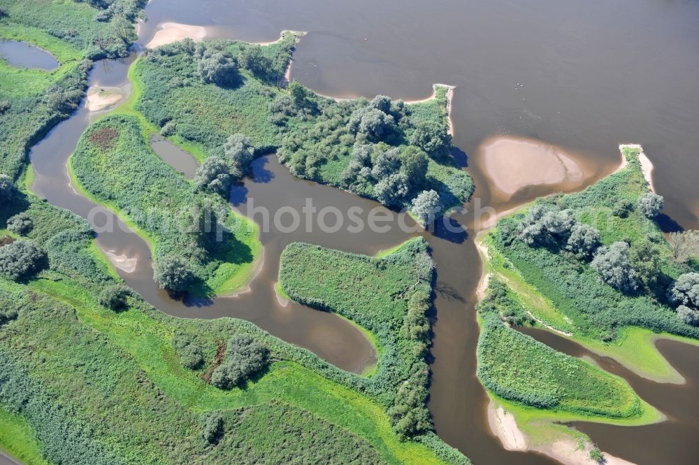 Aerial photograph Mödlich - Natural banks of the Elbe region near Mödlich in the state of Brandenburg