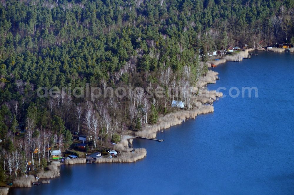 Aerial photograph Gräfenhainichen - Bungalow natural camping place - and camp site on the shore of the Moehlauer lake in Graefenhainichen in the federal state Saxony-Anhalt, Germany