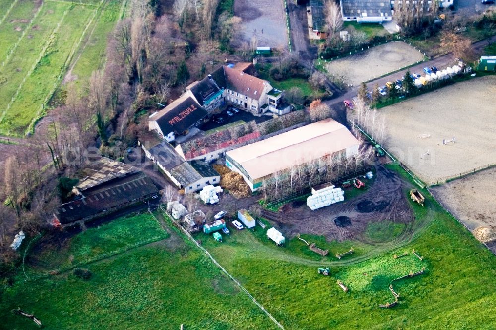 Aerial photograph Haßloch - Animal wildlife protection station of first animal protection association Hassloch e.V. in Hassloch in the state Rhineland-Palatinate