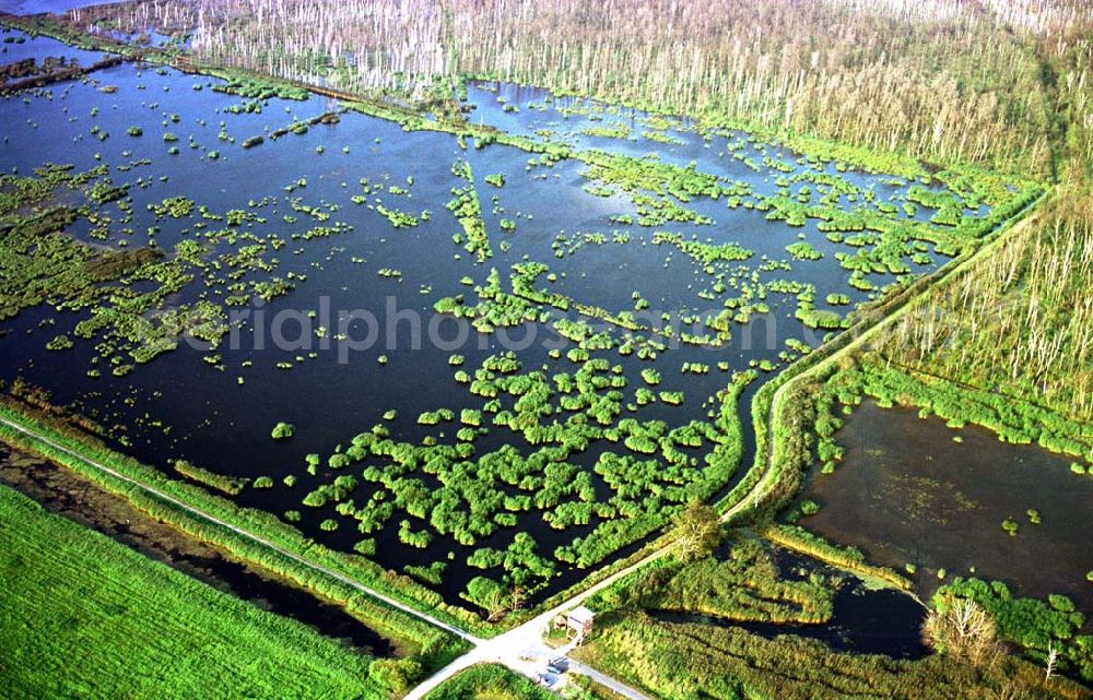 Aerial photograph westlich von Zecherin auf Usedom in MV - 